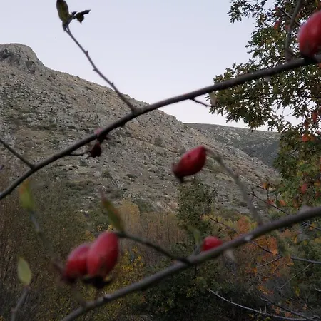 Tejeruelas Сasa de vacaciones *
