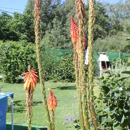 Tejeruelas Holiday home Navacepedilla de Corneja