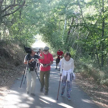 Сasa de vacaciones Tejeruelas Navacepedilla de Corneja