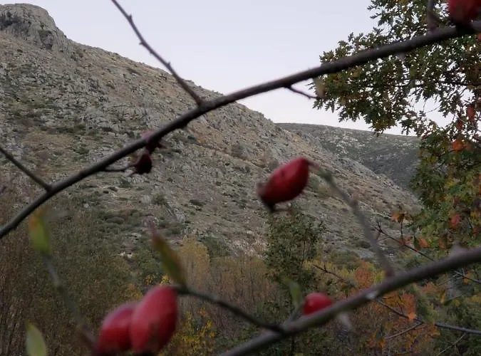 Tejeruelas Tatil Evi *