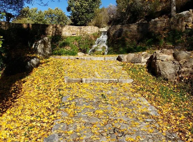 Tejeruelas * Navacepedilla de Corneja