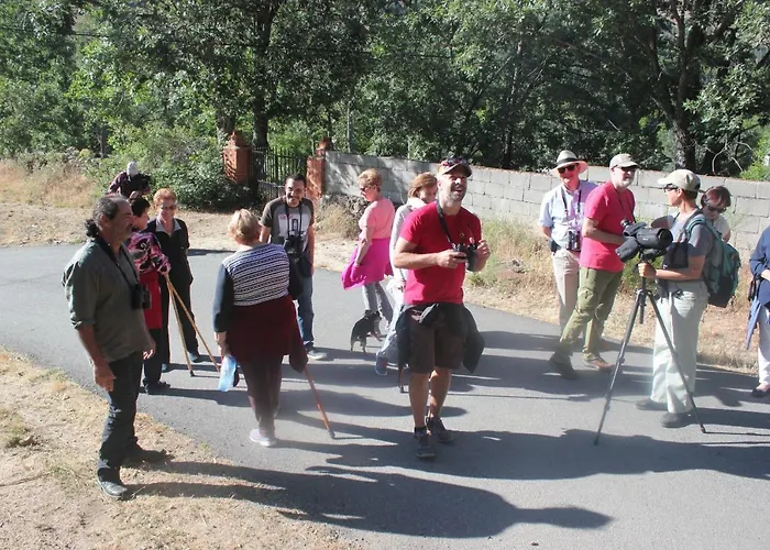 Tejeruelas Navacepedilla de Corneja