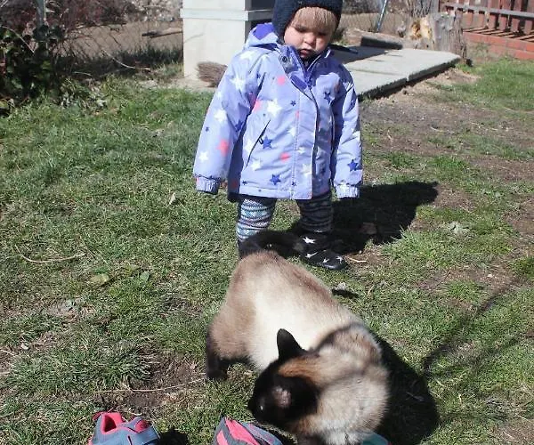 Tatil Evi Tejeruelas